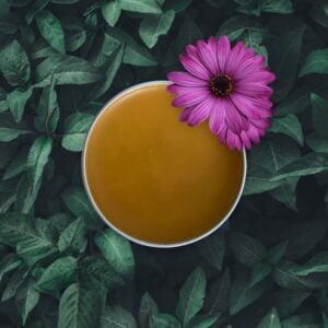 First aid propolis Salve by Princess Bee Honey co.